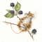Bothy Threads Brambles Counted Cross Stitch Kit
